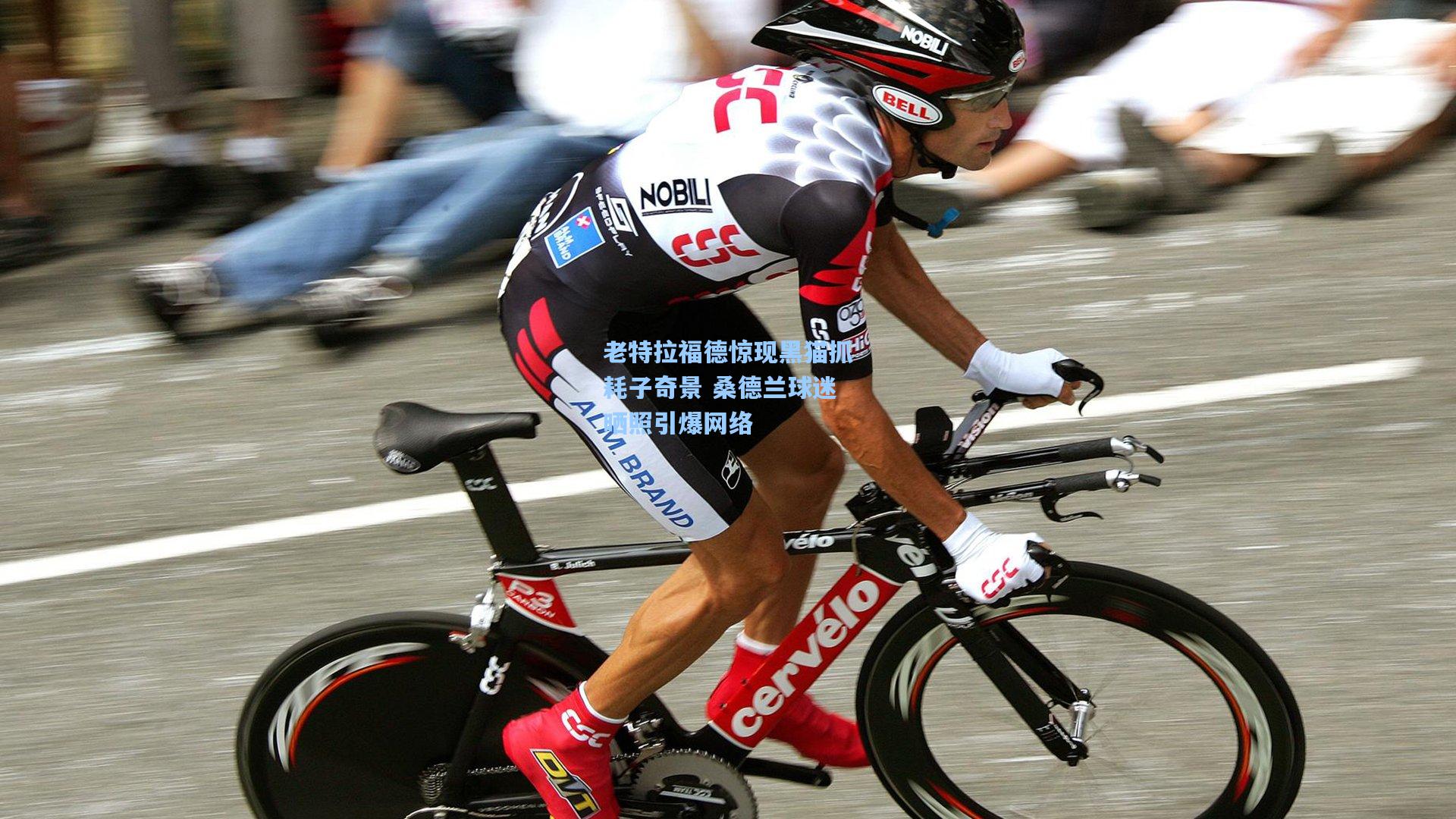 老特拉福德惊现黑猫抓耗子奇景 桑德兰球迷晒照引爆网络