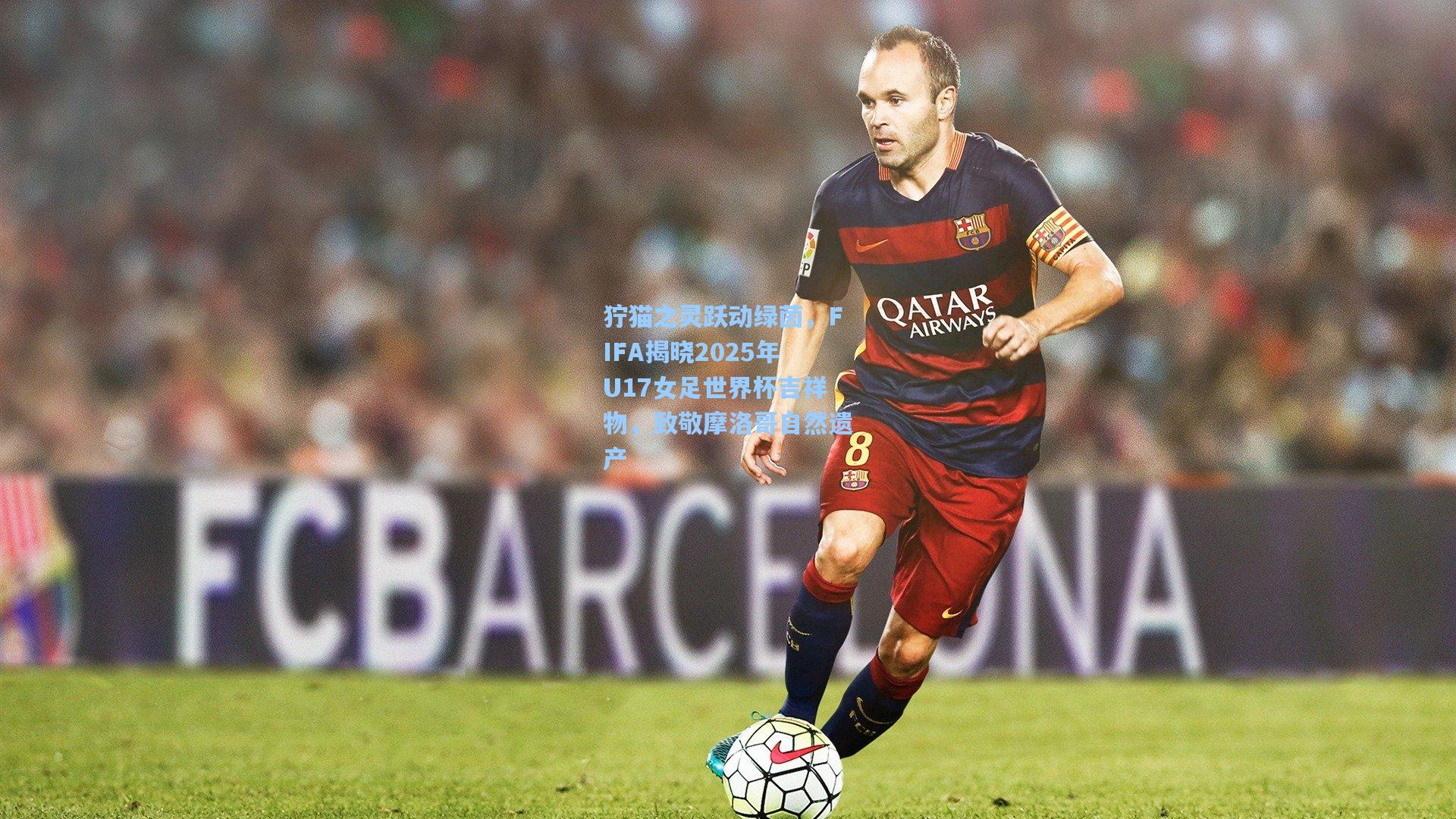 狞猫之灵跃动绿茵，FIFA揭晓2025年U17女足世界杯吉祥物，致敬摩洛哥自然遗产